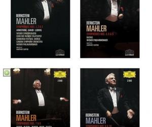 小提琴家李传韵_李传韵收入(3)