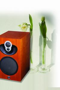 Խ��Խϲ������Linn Majik 109�����