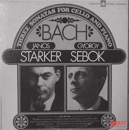 大提琴家_大提琴家收入(3)