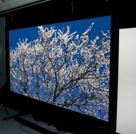 Screen