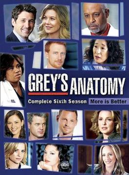 ʵϰҽ�����ٵ�����Grey's Anatomy Season 6