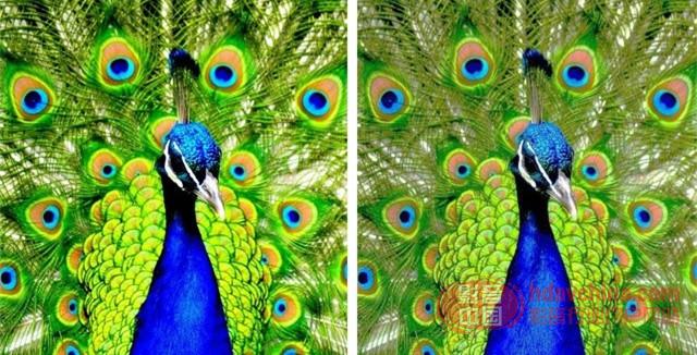 用数据说话 如何挑选一款优质微型投影_观点_