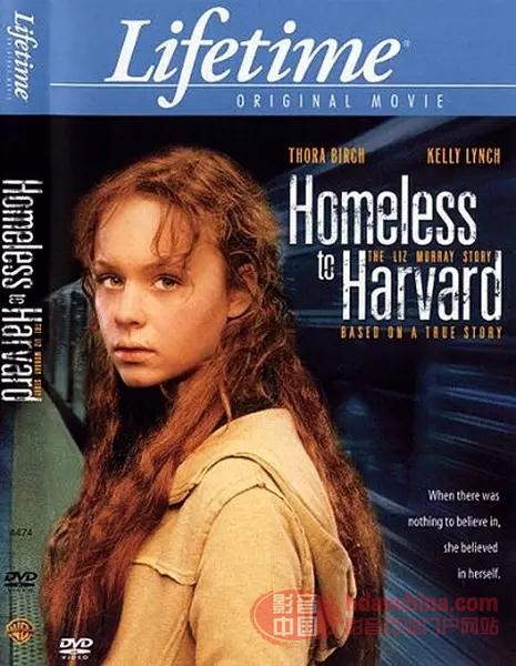 卑微者的逆袭,满满的励志心灵鸡汤-《风雨哈佛路》