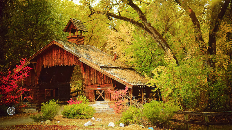_C160990_DxO.jpg