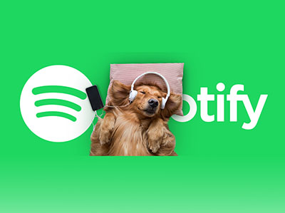 ȳSpotifyһﲥб