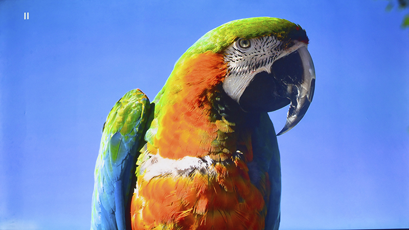 DSC_7910_DxO.jpg