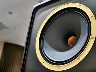 Tannoy Kingdom Royal MKIIحõ䲻ֹˣ