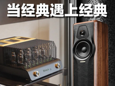 ͡Sonus faber ưMaxima Amatorʽ䣺Ͼ