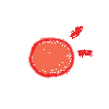 02.gif