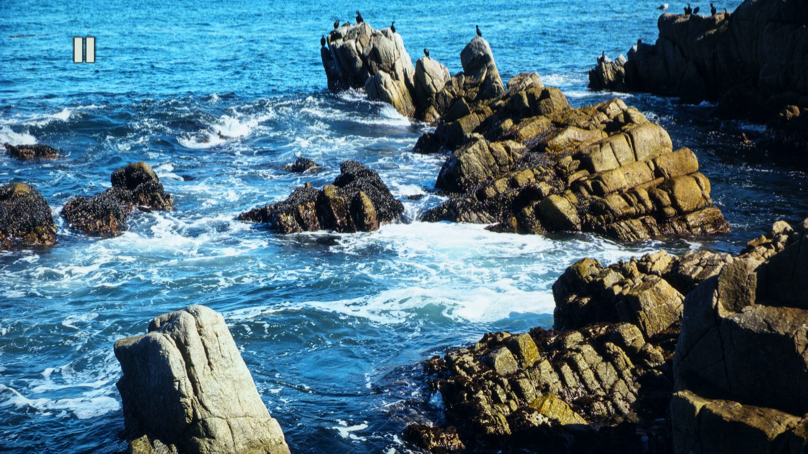 DSC08769.JPG