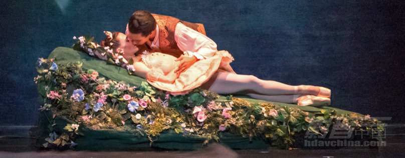 \ 701-sleepingbeauty.JPG