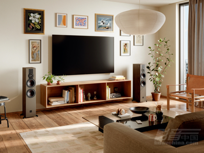 �����͡�DALI(����) SONIK 7+SONIK 3��ֻ��һ�Σ����㹻ӡ�����̡�