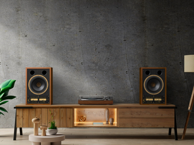 ���Ƽ�������Tannoy SGMϵ�У����괫�����䣬�ڼ�Ҳ������¼�����ʸ�