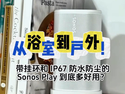 ��ԡ�ҵ����⣡���һ���IP67��ˮ������Sonos Play���׶���ã�